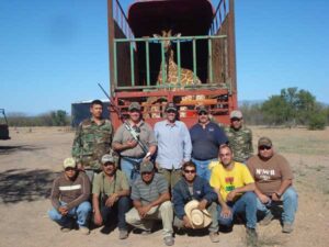 mike_mexico_giraffe Mike Ross and Mexico Capture Team With Giraffe Ready To Be Translocated
